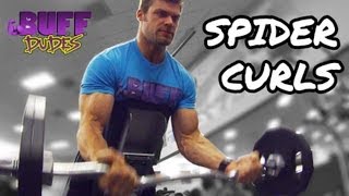 How to Perform Spider Curls  Big Biceps Arms Exercise [upl. by Scarrow]