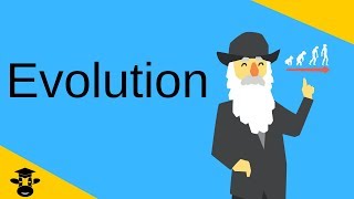 EvolutionThe three major components explained [upl. by Geno]