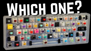 How to Choose the Perfect Switch For YOU [upl. by Cheryl]