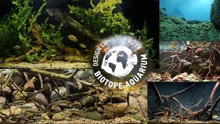 Biotope aquarium design contest 2018 all aquariums [upl. by Mcmaster784]