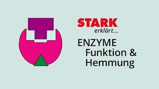 Enzymfunktion und Enzymhemmung  STARK erklärt [upl. by Adnilim]