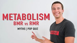 Metabolic Rate Explained  BMR vs RMR [upl. by Ame]