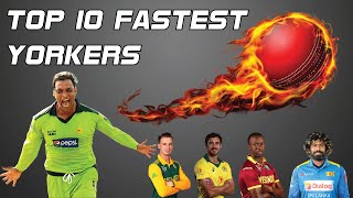 Top 10 Fastest Yorkers in Cricket History  Deadliest Yorkers  Toe Crushing Yorkers  Fire Yorkers [upl. by Rudman]