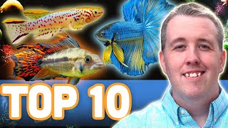 MY TOP 10 FISH FOR A 10 GALLON AQUARIUM [upl. by Sakmar]