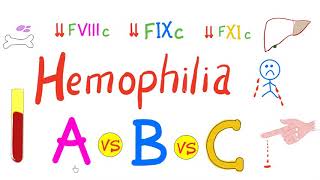 Team Clotting episode 3 future treatments for haemophilia A [upl. by Colt]