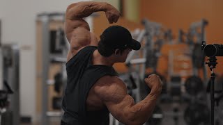 IFBB Pro Arm Workout [upl. by Ileek]