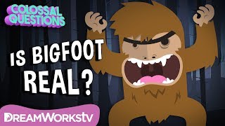 Could Bigfoot Be Real  COLOSSAL QUESTIONS [upl. by Alleroif802]