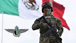 ¿Cómo es la Vida de los FES Fuerzas Especiales de México [upl. by Beatty]