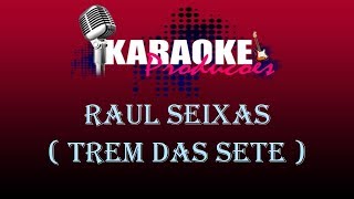 RAUL SEIXAS  TREM DAS SETE  KARAOKE [upl. by Nynahs]