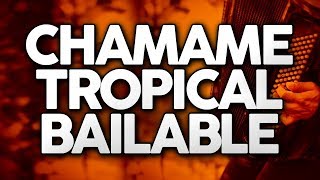 ⚡🔥 CHAMAME TROPICAL  SANTIAGUEÑO  BAILABLE 🔥⚡ FEB 2020  DJ NAICKY [upl. by Olegnalehcim765]