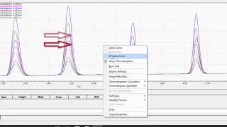 LabSolutions LCGC Workstation Basic Data Analysis [upl. by Pickens229]