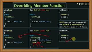 Function Overriding In C  C Tutorial for Beginners [upl. by Hephzipah771]