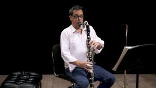 Instrument Bass Clarinet In Depth [upl. by Rochester]