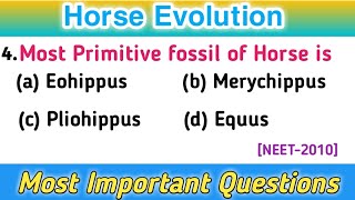 MCQs on Horse Evolution  NEET Biology  Most Important Questions [upl. by Raffo]