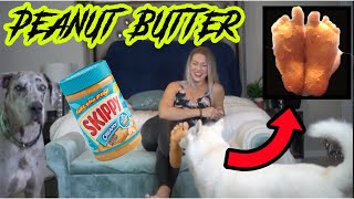 Tickle Challenge peanut butter dog challenge [upl. by Iraam]