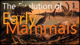 The Evolution of Early Mammals [upl. by Kip119]