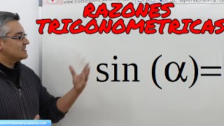 Funciones trigonométricas conceptos básicos [upl. by Leivad822]