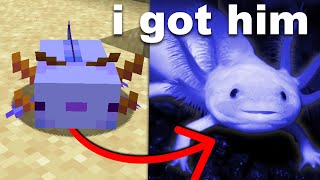 I Bought a Minecraft Axolotl in Real Life [upl. by Teryn]