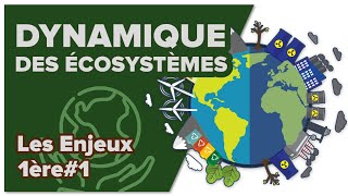 Dynamique des écosystèmes  SVT  ENJEUX 1ère spé 1  Mathrix [upl. by Deanne750]