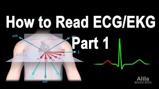 How to Read ECGEKG Part 1 Animation [upl. by Elohcin]