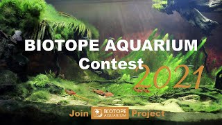 BIOTOPE AQUARIUM CONTEST 2021 [upl. by Merras]