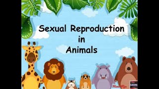 Sexual Reproduction in Animals [upl. by Irat]