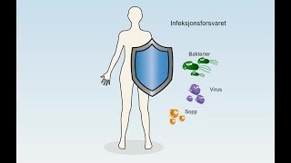 Immunforsvaret  Immunsystemet  Infeksjonsforsvaret [upl. by Onaivatco18]