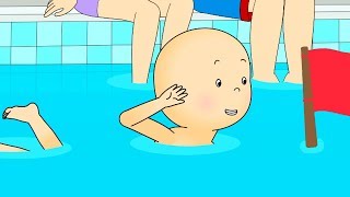 Caillou fait du Crawl  Caillou en Français [upl. by Gnues]