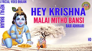 Hey Krishna Malai Mitho Bamsi Lyrical Video  Raju Adhikari Nepali Bhajan  Srd Bhakti Bhajan [upl. by Allveta124]