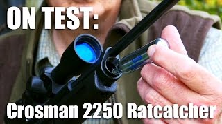 Crosman 2250 Ratcatcher airgun on test [upl. by Navonoj]