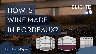 Red Winemaking in Bordeaux Explained [upl. by Noreh]