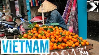 Españoles en el mundo Vietnam 13  RTVE [upl. by Yesak273]