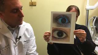 Audio Described Animation Dilated Eye Exam [upl. by Brendis]