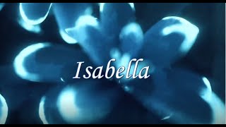 Isabella Die Flippers  Coverversion Schlagerburschi Genos CMS Sounds [upl. by Ardith]