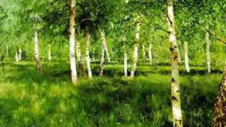 Impressionism Music by Debussy [upl. by Yessydo453]