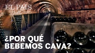 ¿Por qué en España tomamos cava  Negocios [upl. by Ylenats]