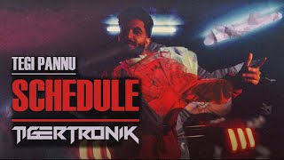 Schedule  Tegi Pannu  TIGERTRONIK REMIX  Latest Punjabi Song 2021 [upl. by Abad]