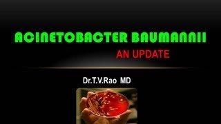 Acinetobacter baumannii PowerPoint Presentations [upl. by Eglanteen]