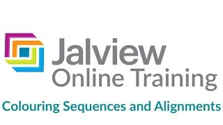 Colouring protein residues in an alignment using Jalview [upl. by Yral179]