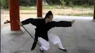 WUDANG KUNGFU  Wudang Seven Star Sword 七星剑 [upl. by Rambow]