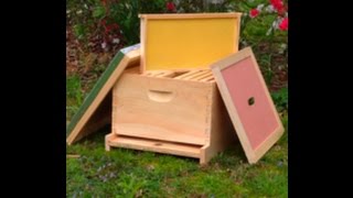 First Year Of Beekeeping basic equipment starting your beehive [upl. by Pry]