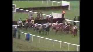 1980 Sun Alliance Chase [upl. by Tterb]