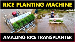 Rice Planting Machine  Paddy Transplanter Machine [upl. by Yhtnomit]