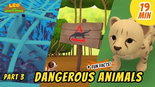 Dangerous Animals Part 33  Animals Stories for Kids  Educational  Leo the Wildlife Ranger [upl. by Joiner412]