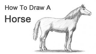 How to Draw a Horse [upl. by Ueihttam]