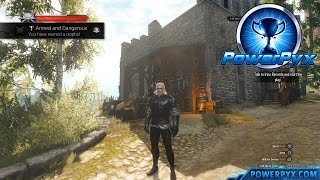 The Witcher 3 Wild Hunt  Griffin Witcher Gear Set Locations Armed and Dangerous Trophy [upl. by Aleece]