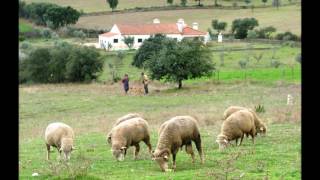 Venham ver o Alentejo [upl. by Oicafinob156]