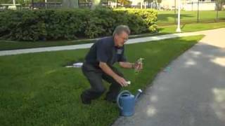 How to Identify Sod Webworm in Your Florida Lawn [upl. by Akemak]