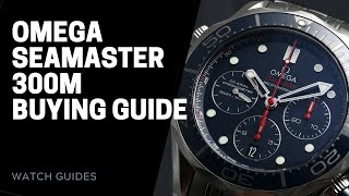 Omega Seamaster 300M Diver Buying Guide  SwissWatchExpo [upl. by Assecnirp936]