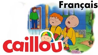 Caillou FRANÇAIS  Un nouveau membre dans la famille S02E14  conte pour enfant [upl. by Dimmick]